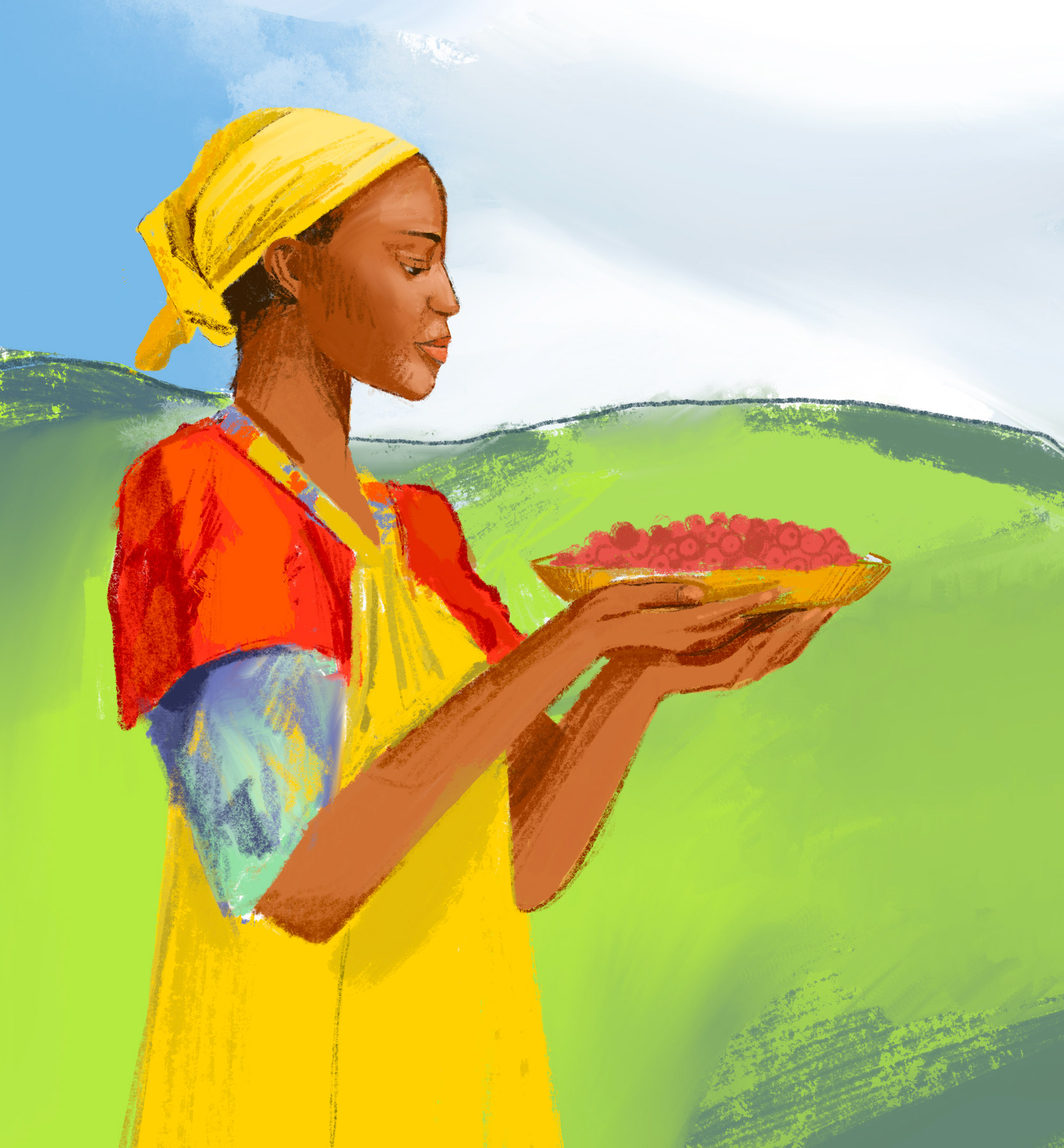Ethiopia Collection