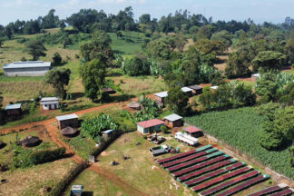 Ethiopia Uraga
