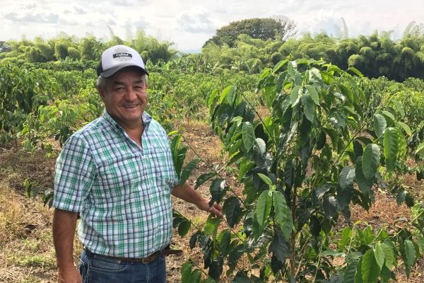 Colombia Arcila “200 Hour”