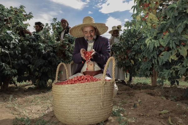 Yemen Ghalib Al-Hamasi Peaberry