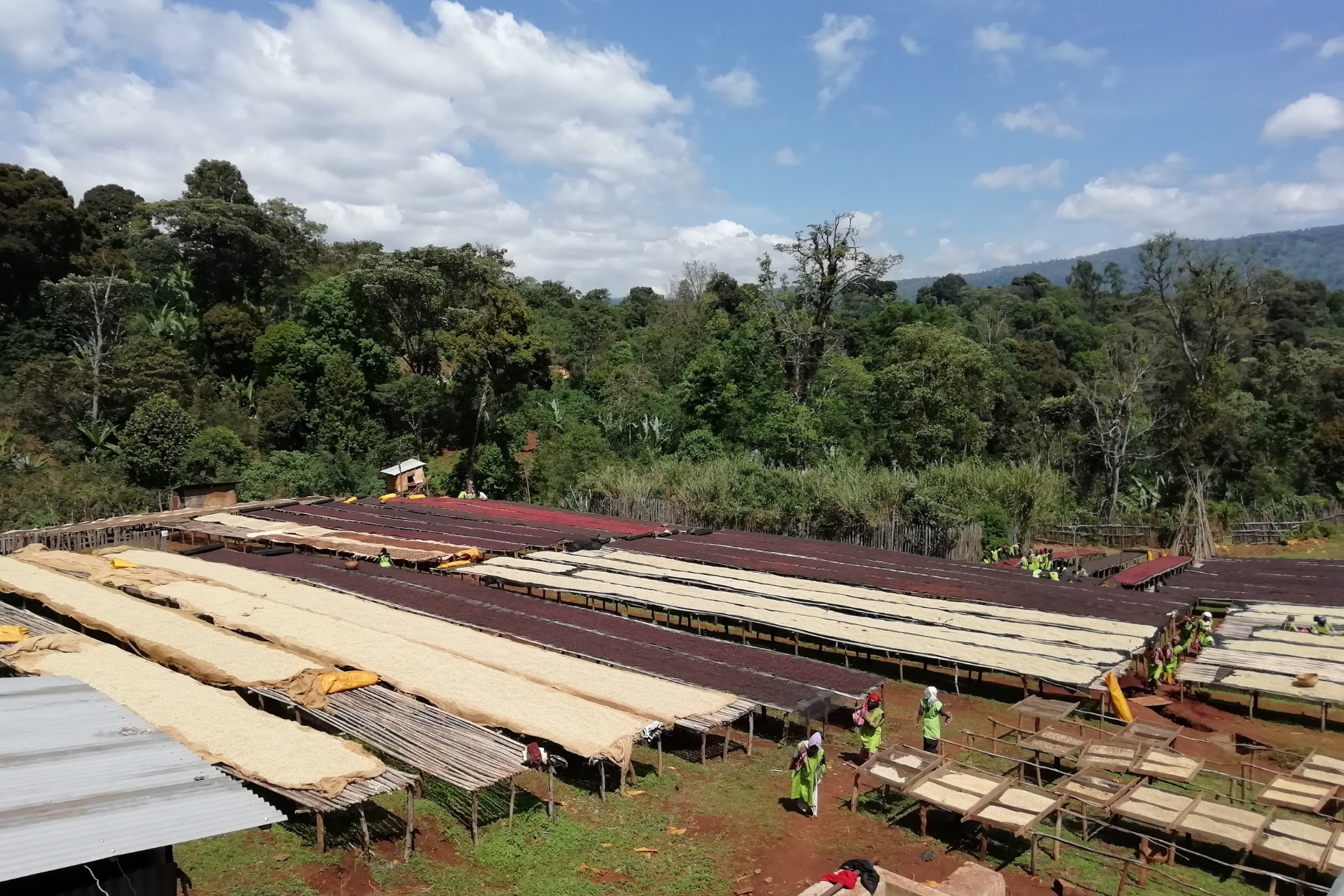 إثيوبيا وري - شبه لاهوائي