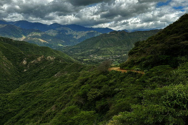 Ecuador Finca La Aurum - Auction Lot
